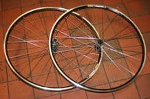 MICHE PRIMATO SYNTESI (SHIMANO / CAMPAGNOLO FITTING) - MAVIC CXP - SAPIM RACE DB SPOKES - 700C