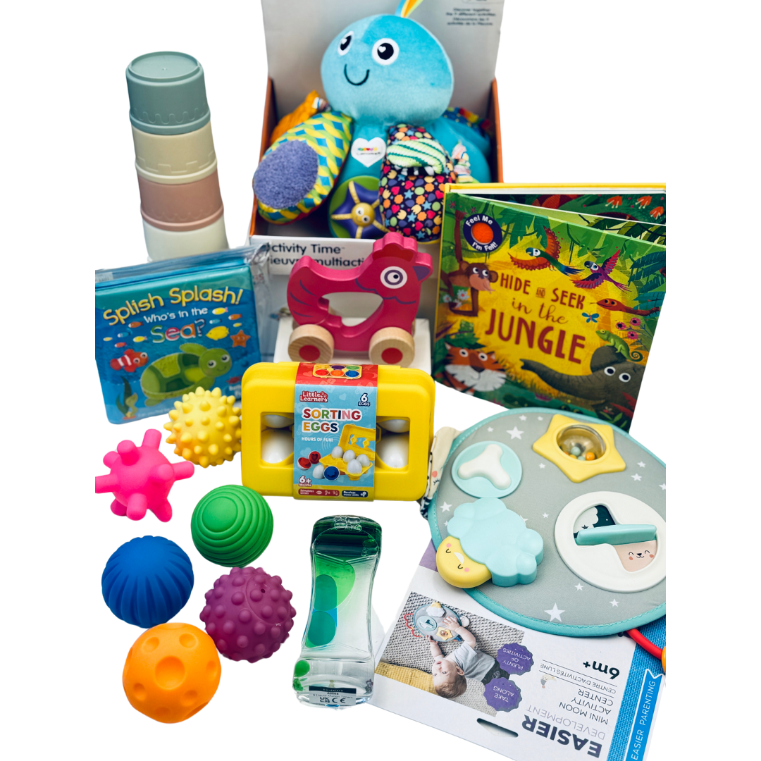 6-12 Month Large Toy Package | Hampers by Lauren