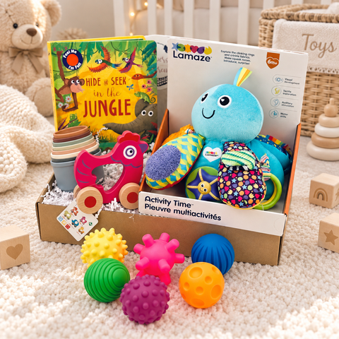 6-12 Month Toy Package