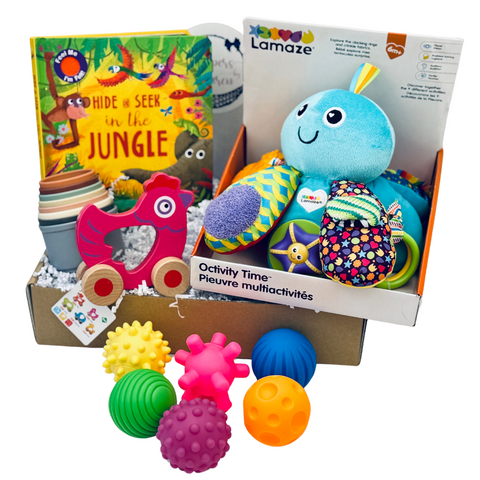 6-12 Month Toy Package