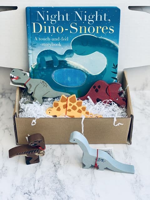 Dinosaur Book Box - Open Ended Play