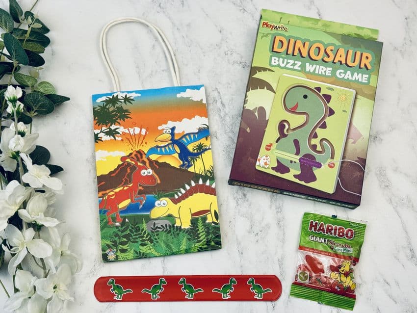 Dinosaur Children's Party Bag 2 | Hampers by Lauren