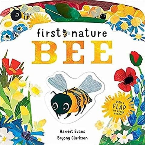 First Nature Bee Book
