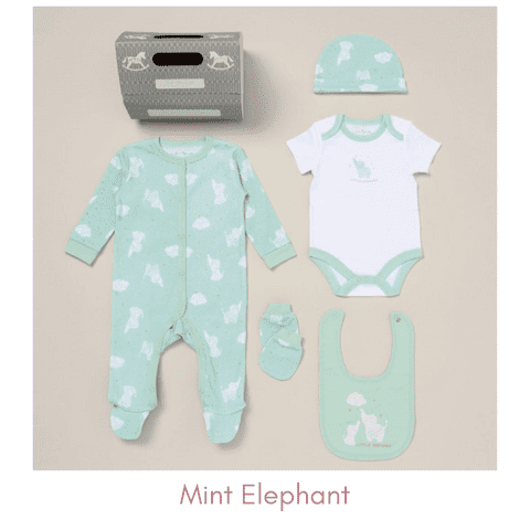 Mint Elephant Unisex Baby Clothing Set - 5 Piece