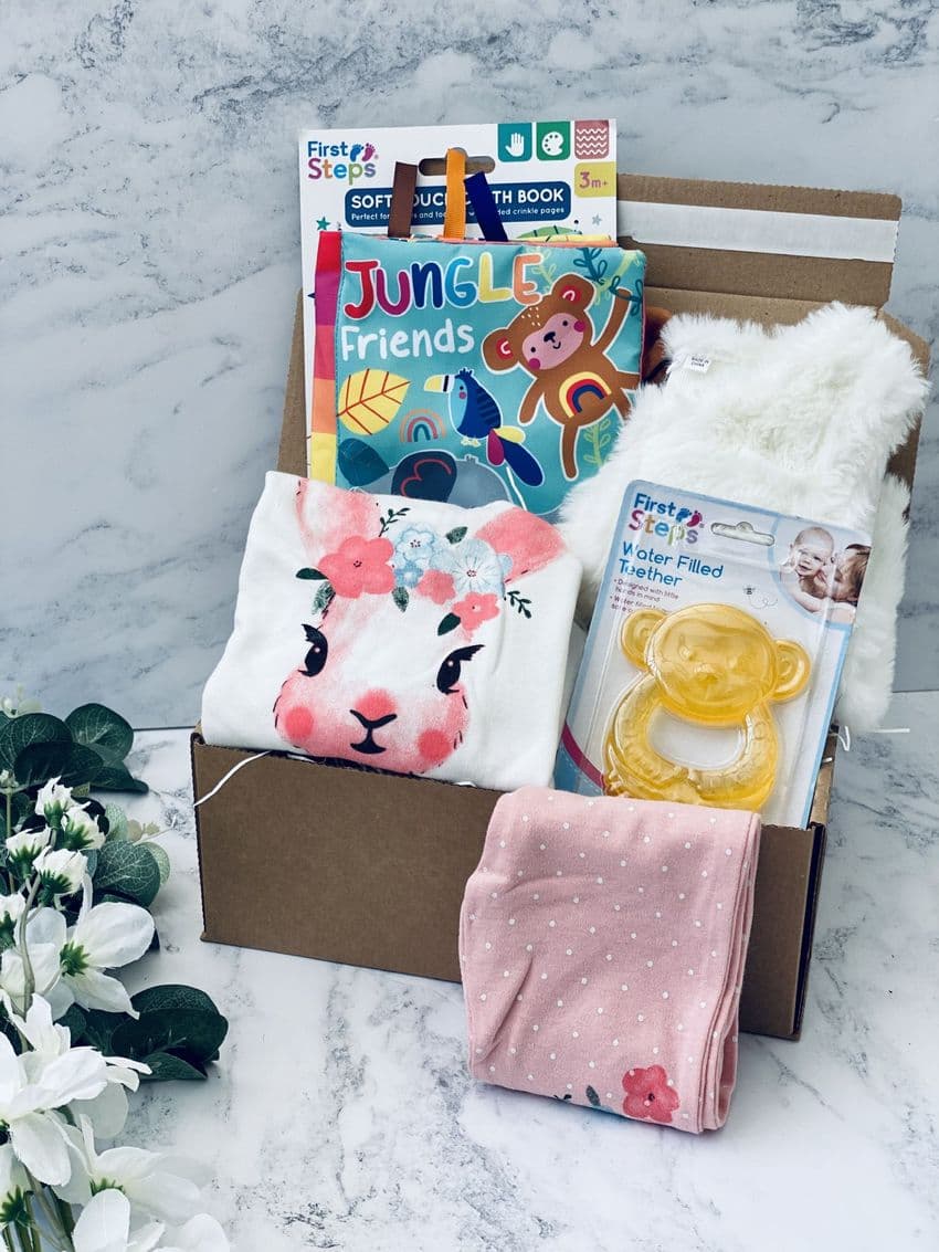 New Baby Girl Clothing & Toys Gift Box | Hampers by Lauren