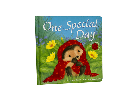 One Special Day Touch and Feel Book