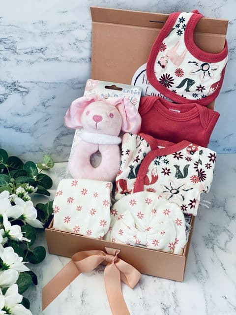 Premature Baby Girl Gift Box - Pink Forest Animal