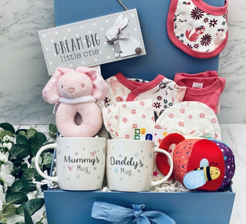 Premature Baby Girl & New Parents Gift Box Large - Pink Forest Animal | Hampers by Lauren