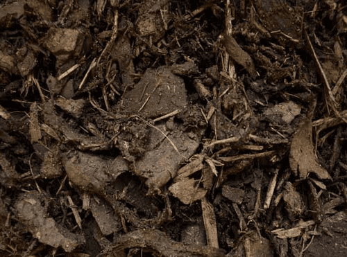 Bark Mulch