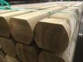 Mini Planed Log Green Tanalised Sleeper 120x100mm - PALLET DEALS