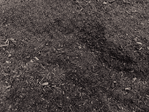 Organic Peat Free Compost