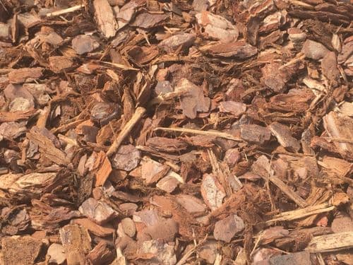 Play Bark - British Standard