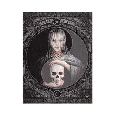 19x25cm Beyond the Veil Canvas Plaque by Anne Stokes