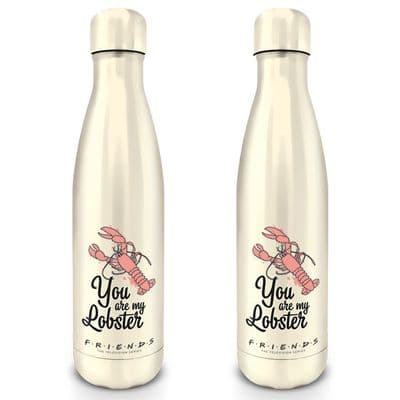 Friends (You are my Lobster)  Metal Drinks Bottle