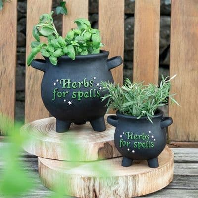 LARGE HERBS FOR SPELLS CAULDRON PLANT POT