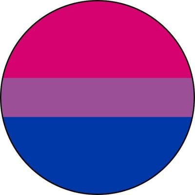 Vintage Style Button Badge – Bi / Bisexual Flag