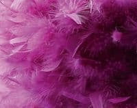 Anson Feather Shade Aubergine 330mm x 200mm