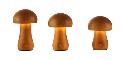 Asher - Set of 3 Rechargeable Table Lamps