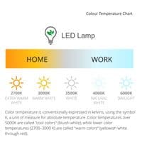 Bakerloo Flush Frosted Wall Lamp, 10W LED, 3000K, IP65, Anthracite, 2yrs Warranty