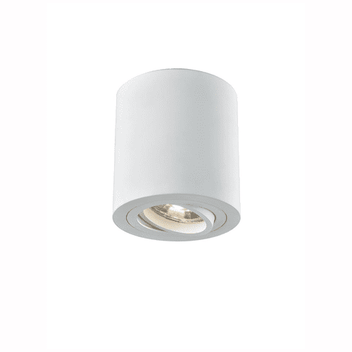 Satin White Surface Mounted Downlight Adjustable GSBCF5774