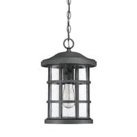 Crusade 1 Light Chain Lantern QZ-CRUSADE8-BLK