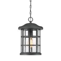 Crusade 1 Light Chain Lantern QZ-CRUSADE8-BLK