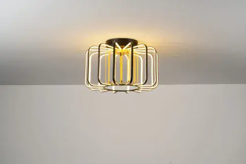 Echo Matt Black, Painted Gold Ceiling lamp CSBCM1401