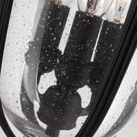 English Bridle 3 Light Medium Chain Lantern - Black FE-EB8-M-BLK