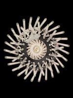 Ethereal Chrome Pendant GSBPCH477
