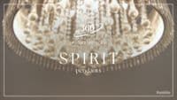 Spirit 8 Light Flush Fitting with Crystal Drops GSBFL2160/8