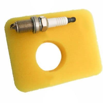 Briggs and Stratton Sprint 300e Engine Part Service Kit (Air Filter and Spark Plug)