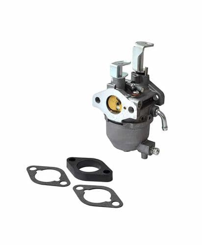 Briggs & Stratton 138432 138436 138437 Series Carburettor Assy Replaces Part Number 715473