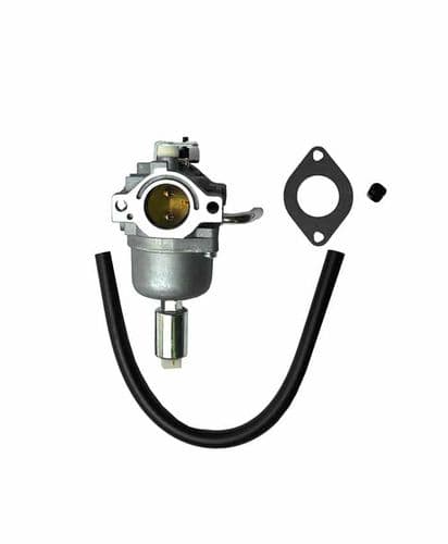Briggs & Stratton 215807 21B972 Series Engines Carburettor Assy Replaces Part Number 593433 & 794294