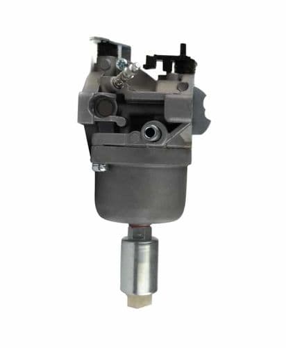 Briggs & Stratton 310000 Series Engines Carburettor Assy Replaces Part Number 794572 & 699109