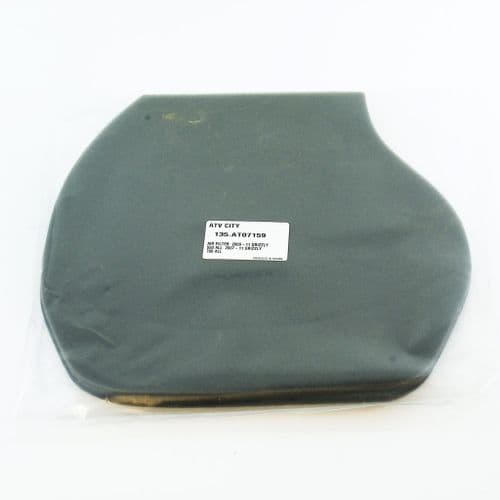 Yamaha YFM 550 Grizzly Air Filter (2009-2013)