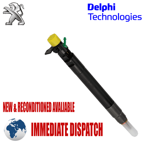 Peugeot 807 2.0 HDI Reconditioned Delphi Diesel Injector MD 310814 - EMBR00101DP R00101DP