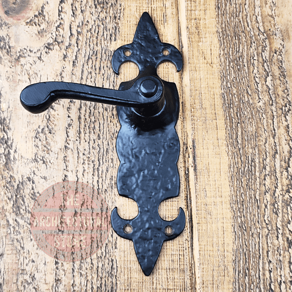 Antique Black Sprung Door Lever Handle On Fleur De Lys Backplate