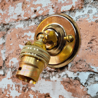 Brass Bayonet Swivel Wall Light