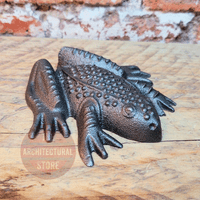 Frog Paper Weight