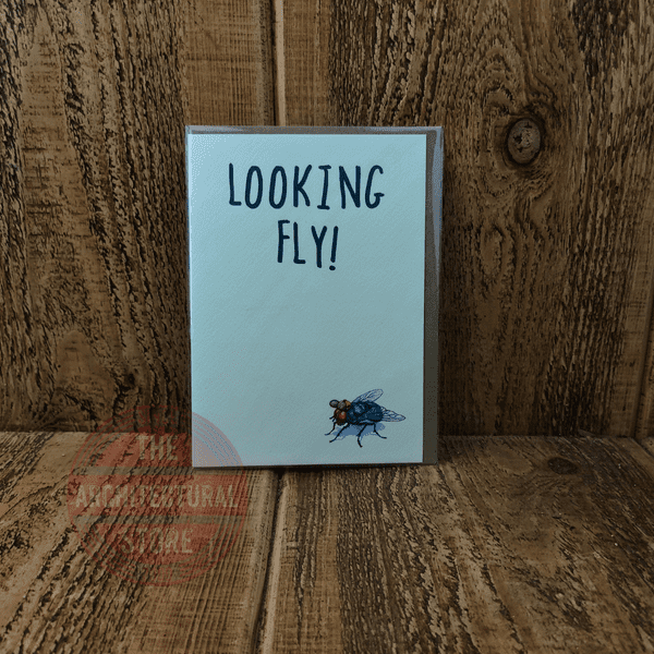 Lookinng Fly Birthday / Greetings Cards