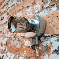 Nickel Industrial E27 Wall Light