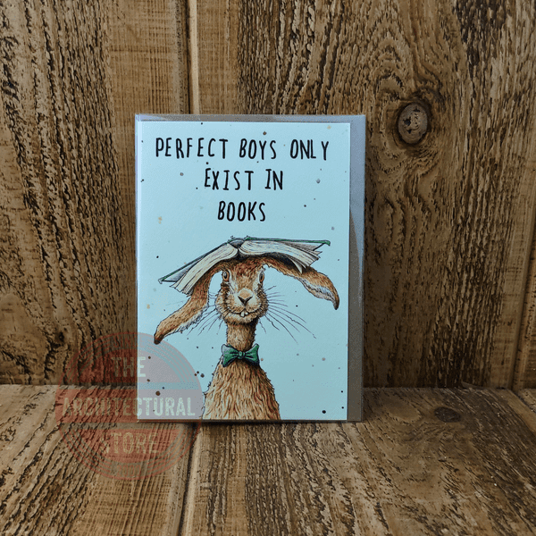 Perfect Boys Only Exist In Books Birthday / Greetings Cards