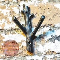 Small Branch Coat Hook