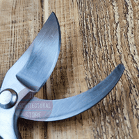 Wooden Handle Traditional Bypass Secateurs Erganomic Handle Spring Loaded