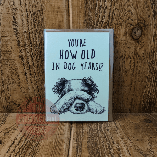 You're How Old In Dog Years? Birthday / Greetings Cards