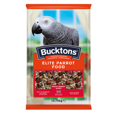 Elite Parrot Bucktons