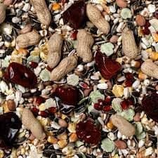 Johnston & Jeff No 1 Parrot