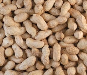 Monkey Nuts (nuts in shells)