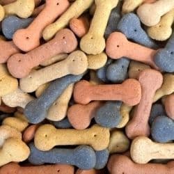 Pointer Assorted Large Bones