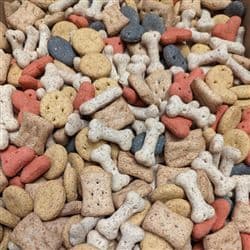 Pointer Biscuit Selection